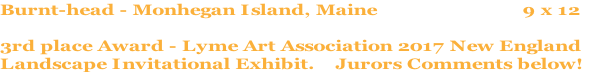 Burnt-head - Monhegan Island, Maine                            9 x 12

3rd place Award - Lyme Art Association 2017 New England 
Landscape Invitational Exhibit.    Jurors Comments below!